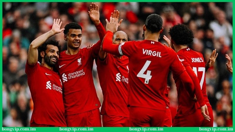 Soi kèo Liverpool Bongvip - Tuyệt chiêu dự đoán siêu chuẩn 1 Tuyệt chiêu soi kèo Liverpool Bongvip đảm bảo cực chuẩn