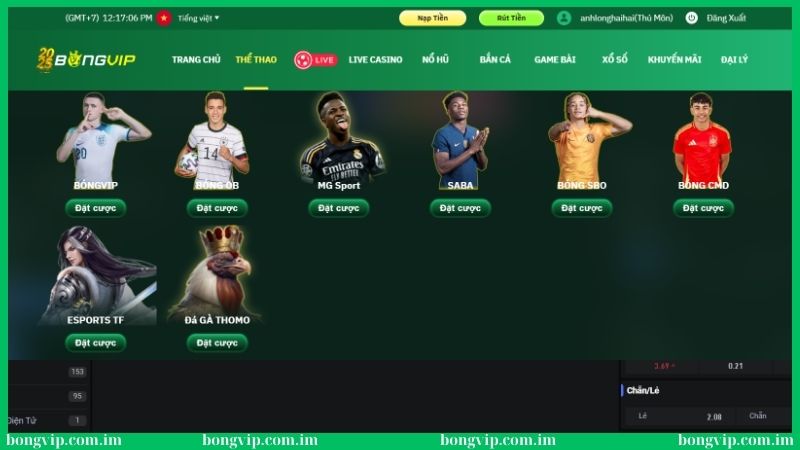 Soi kèo bóng đá V-League Bongvip - Đoán chuẩn thưởng khủng 3 Tính năng soi kèo bóng đá V-League Bongvip dễ sử dụng